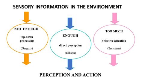 Visual Perception Theory In Psychology - muktibox.com