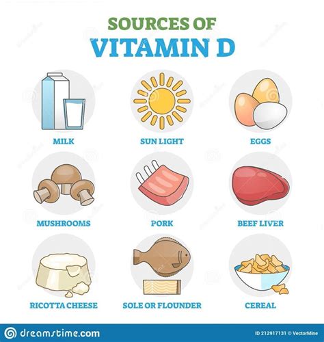 Vitamin D & Calcium Absorption | UPSC Mains ANI-HUSB-VETER … - muktibox.com