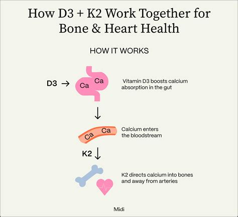 Vitamin D3 K2 Benefits for Bone and Heart Health - balustradellc