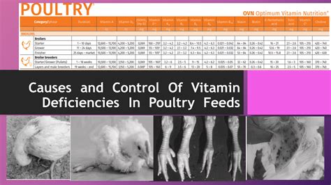 Vitamin Deficiencies in Poultry - Merck Veterinary Manual - muktibox.com