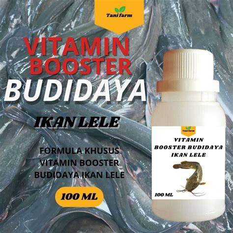 Vitamin Ikan Lele Buat Di Air - raincitystudios.com