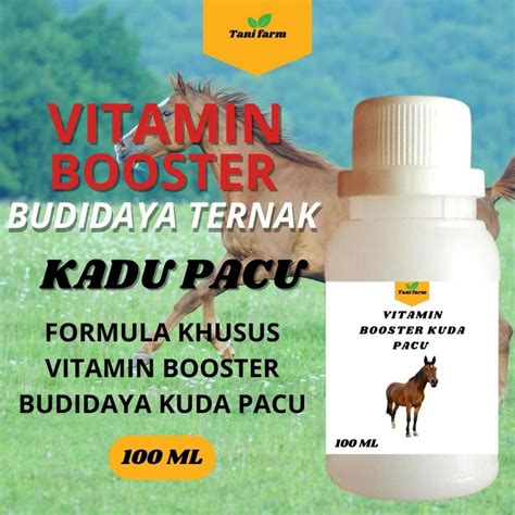 Vitamin Untuk Kuda Pacu - balustradellc