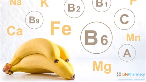 Vitamins and Minerals for Older Adults - National … - balustradellc