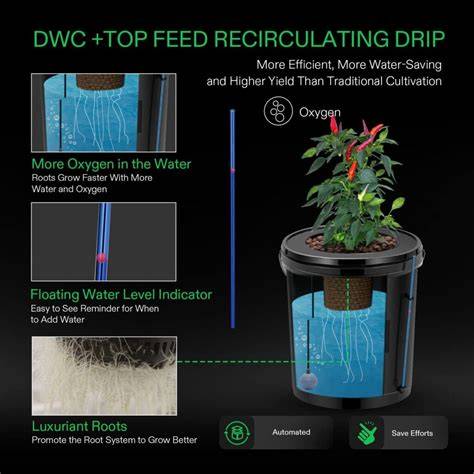 VIVOSUN DWC Hydroponics Grow System with Top Drip Nepal | Ubuy - raincitystudios.com