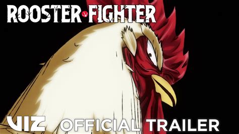 VIZ | The Official Website for Rooster Fighter - balustradellc
