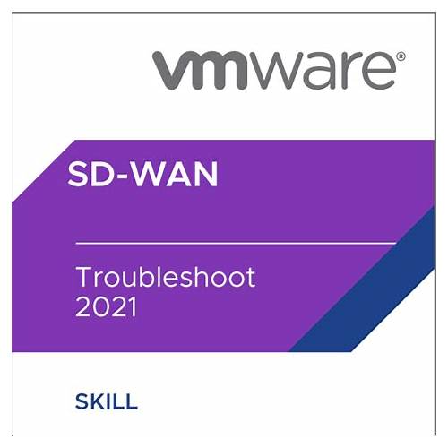 th?w=500&q=VMware%20SD-WAN%20Troubleshoot
