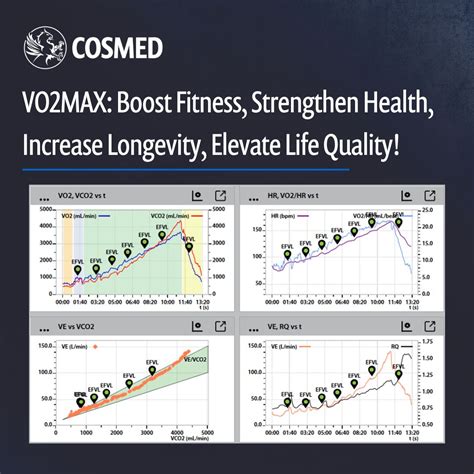 VO2max Explained: What It Is and Why It Predicts Longevity - balustradellc