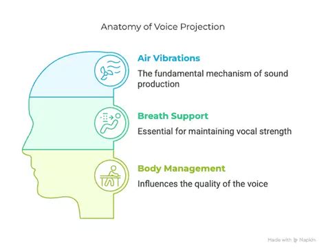 Voice Projection Photos, Download The BEST Free Voice ... - Pexels - muktibox.com