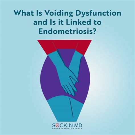 Voiding Dysfunction - Urology | UCLA Health - muktibox.com