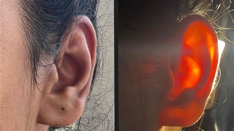 Volumes and Subsurface Scattering - Dave Pagurek - muktibox.com