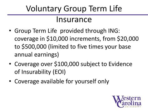 VOLUNTARY GROUP TERM LIFE and ACCIDENTAL DEATH