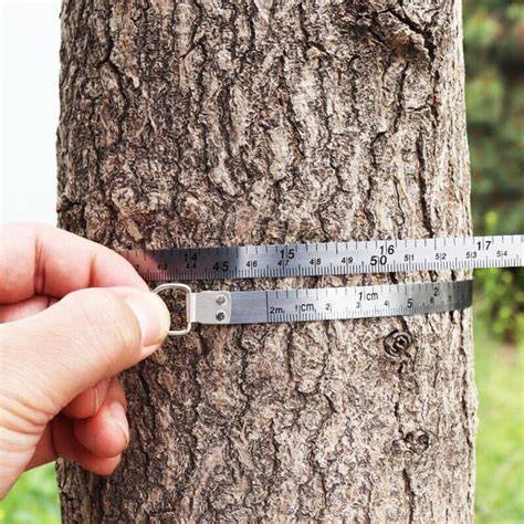 Vriusi Diameter Circumference Tape Measure, Metric Tree ... - Amazon - raincitystudios.com