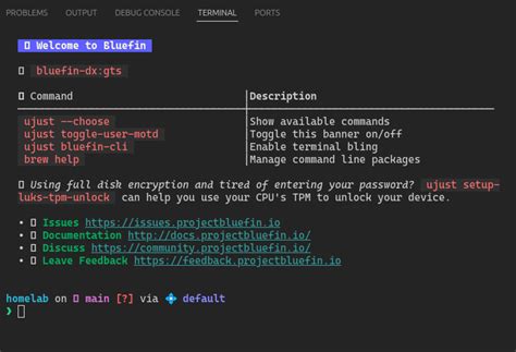 VSCode Terminal Fonts Nerd Fonts Programmer All