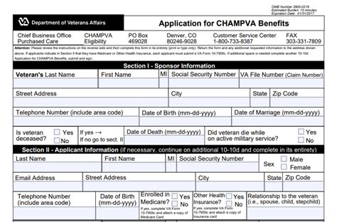 Va Champva Application 10 10D PDF Form FormsPal