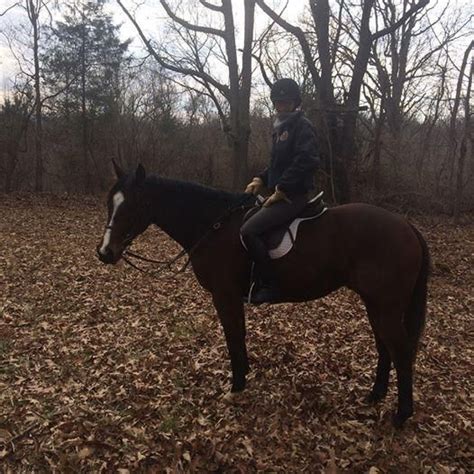 Va equestrian classifieds. Virginia Horses For Sale. Find your next horse in Virginia from the largest Virginia Horses for Sale website on the Internet! You can browse the list below or use the search form to … 