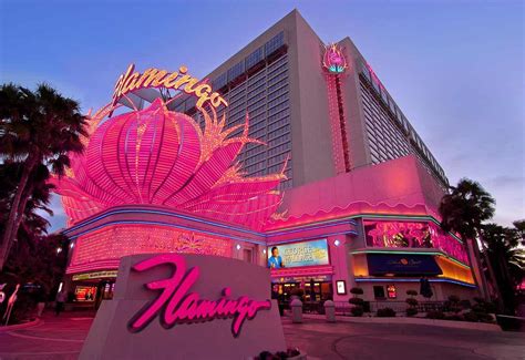 Vacaciones casino flamingo.