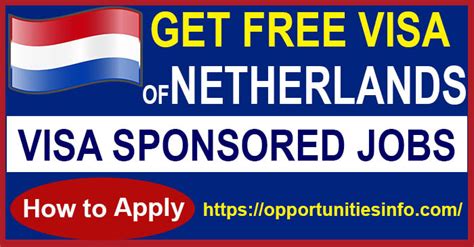 Vacancies and jobs for expats in the Netherlands by Embassy of …