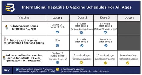 Vaccination schedule for Hepatitis B - World Health Organization