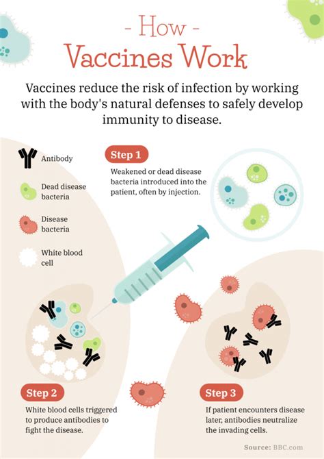 Vaccine Infographic Template