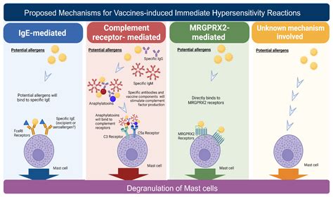 Vaccine-associated hypersensitivity - PubMed