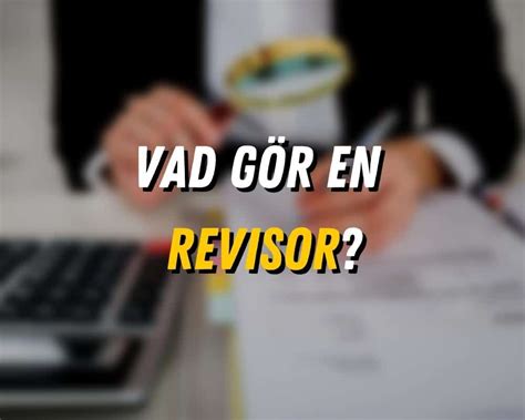 Vad är revisor