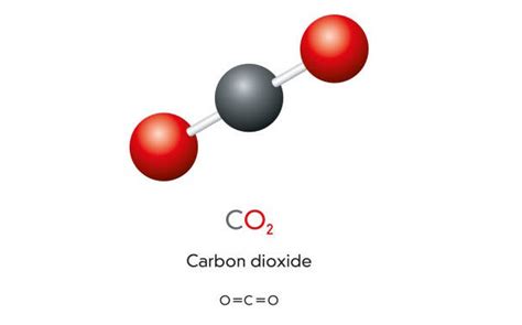 Vad består koldioxid av