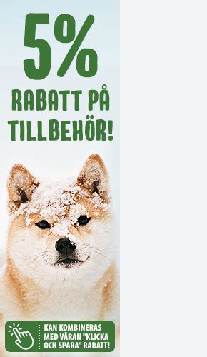 Vad får hundar inte äta? Vilka livsmedel är farliga? zooplus Magasin