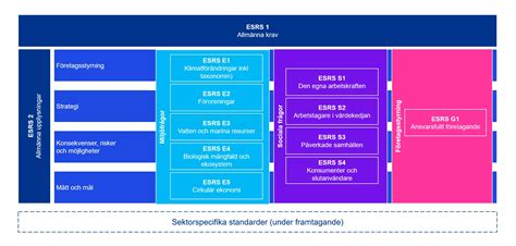 Vad innebär ESRS - KPMG Sverige