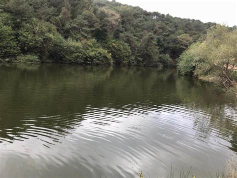 Vadidibi Halı ve Koltuk Yıkama