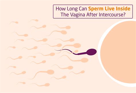 Vagina explodes with sperm porn gif. .  ...