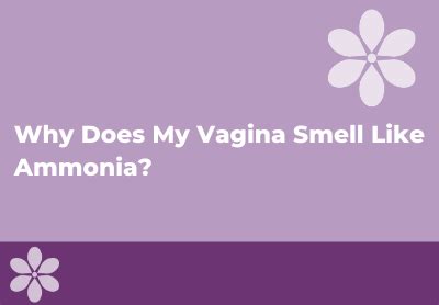 Vagina smells like amonia. Things To Know About Vagina smells like amonia. 