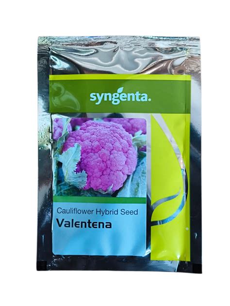 Valentena Onlyfans Leak