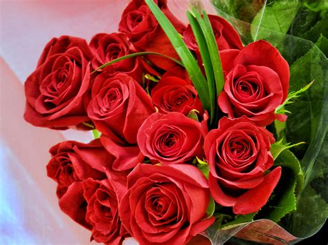Valentines day roses. Valentine’s Day is a special occasion that presents a golden opportunity for businesses to connect with their audience and boost brand engagement. One effective way to captivate yo... 