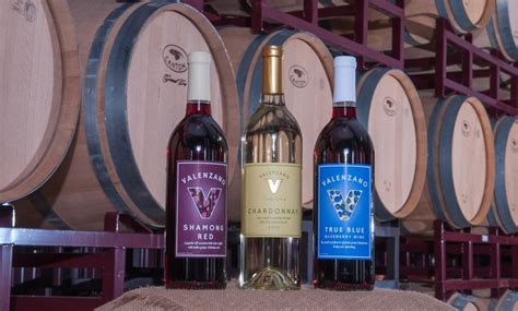 Valenzano winery. Things To Know About Valenzano winery. 