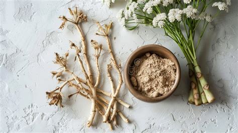 Valerian Root Benefits for Stress Relief.