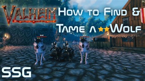 Welcome to my channel! Today we're going over how to find, capture, tame and breed 2 star wolves in Valheim! It's super easy, so be sure to give it a try and....