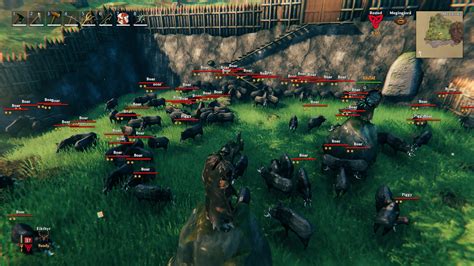Valheim. Steam guides and features hub. Iron Gate AB. Valheim. Learn more. You can easily farm meat and leather in Valheim by taming and breeding boars. Here's our guide to help you out.. 