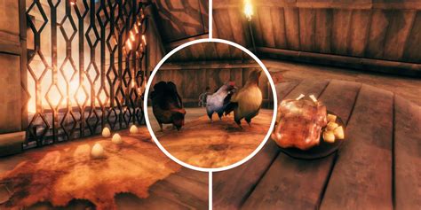 Welcome back to #Valheim ! Let me tell you all about chickens 