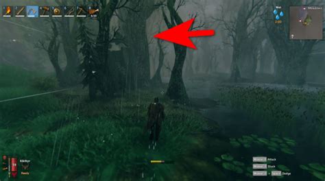 This page is part of IGN's Valheim Wiki guide and details everything you need to know about Ancient Seed including its location, usage, and spawn. 