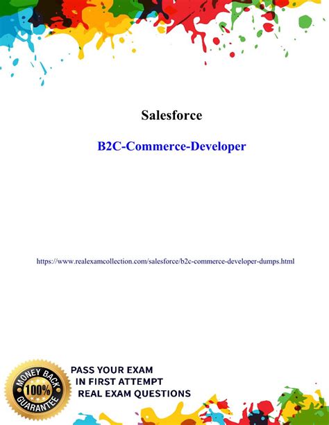Valid B2B-Commerce-Developer Exam Papers
