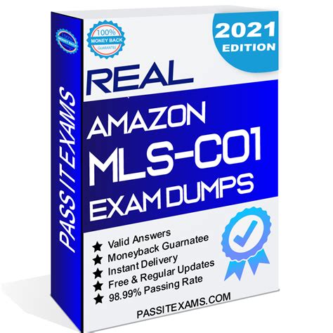Valid Real MLS-C01-KR Exam