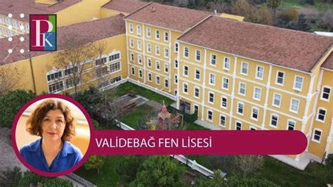 Validebag Halı ve Koltuk Yıkama