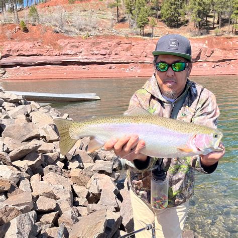 Vallecito Creek Fishing Report San Diego County Fishing California