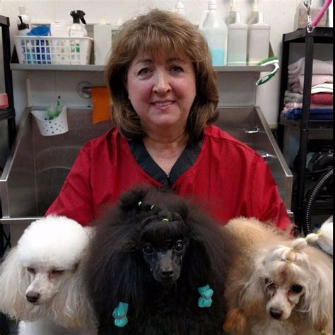 Valley Dog - Dog Grooming - American Kennel Club