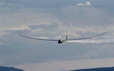 Valley Wind Systems and Soaring Flight