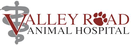 Valley road animal hospital. Brands wellness Payment method visa, master card, discover, check, insurance Location Located along Route 550, 4.5 miles south of Route 322. Located at the corner of Route 550 and Smith Road, just south of Stormstown, and across from the Way Fruit Farm. 