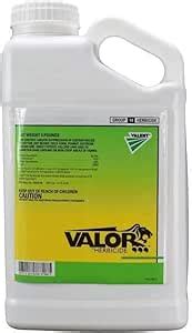 Valor(TM) (Flumioxazin) Herbicide: A New Herbicide for Weed