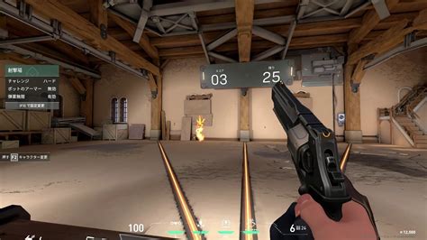 Valorant aim trainer. Valorant, the popular first-person shooter game developed by Riot Games, has taken the gaming community by storm since its release in 2020. With its unique blend of tactical gamepl... 