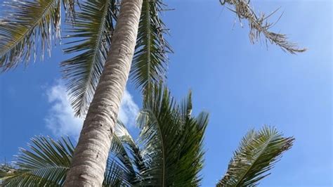 Valrual Leaks 🍑 (SEX)