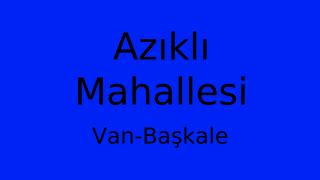 Van Baskale Azikli Mahallesi terapi halı yıkama